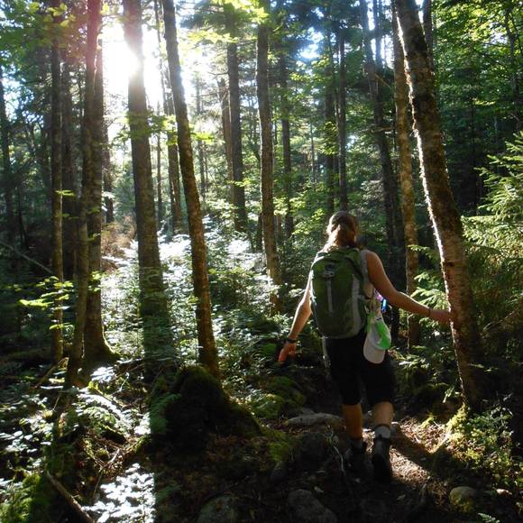 Meet your Posher, Kim - Picture 1 of 1